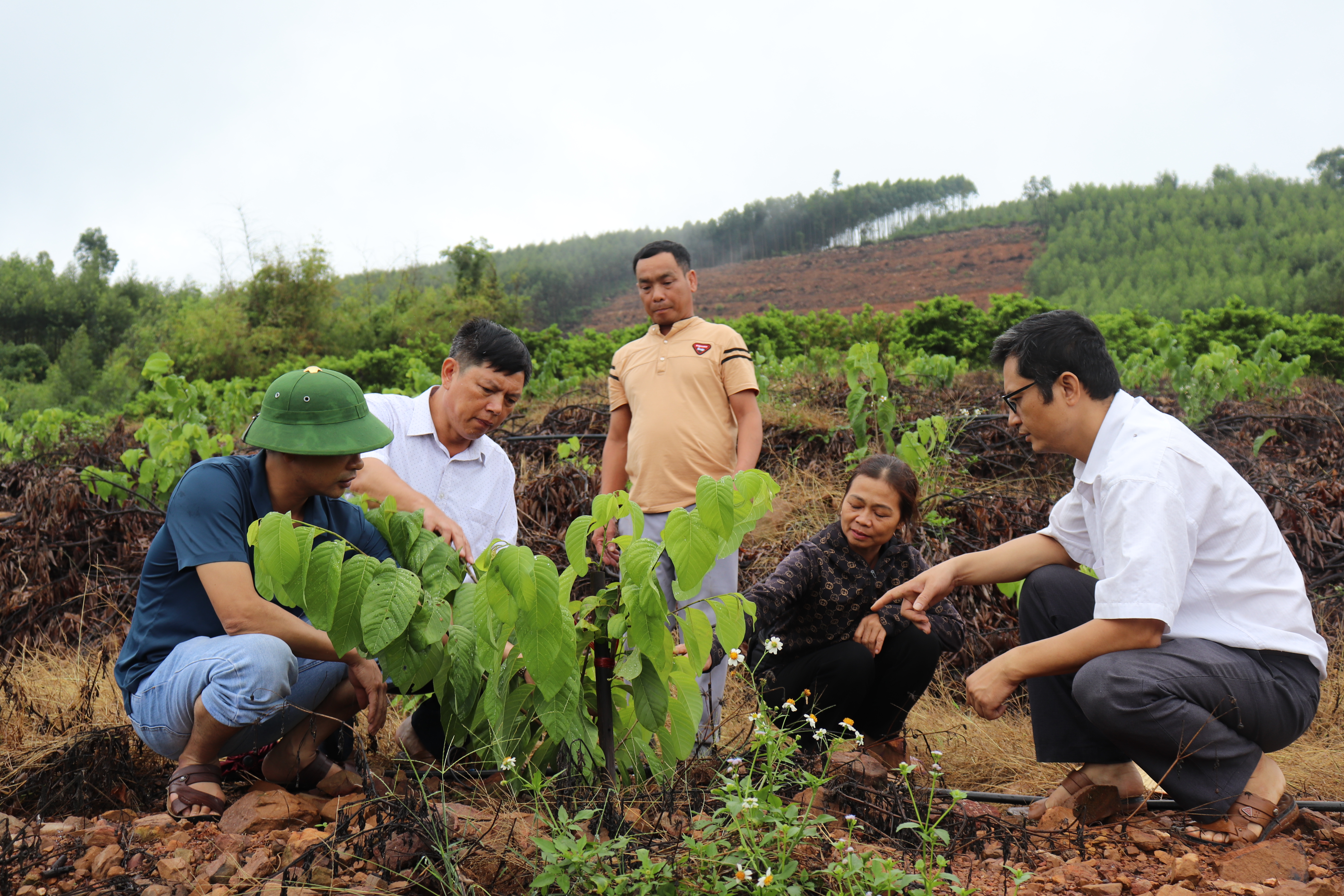 Vai trò của khuyến nông trong phát triển bền vững vùng sản xuất na